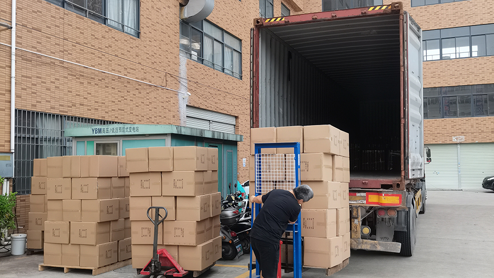 6.0 Project Management & Global Logistics