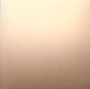 009 Sandblasted Rose Gold