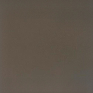 026 Mirror Finish Tea Color