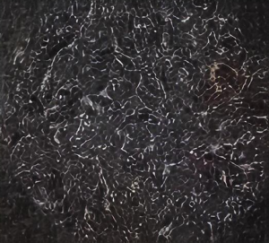 Black Dyed Brushed