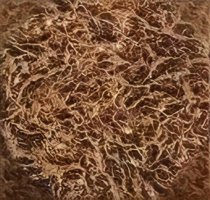 Deep Gold Hidden Brown
