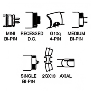 Fluorescent Pin Bases