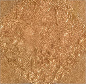 Gold Foil