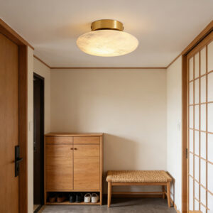 Modern Ceiling Lights
